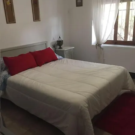 Molera Elda