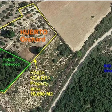 Molera Villa Elda