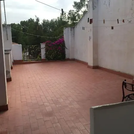 Molera * Elda