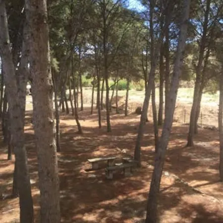 Molera וילה *